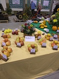 Obr: 46348.jpg