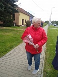 Obr: 48701.jpg