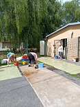 Obr: 48710.jpg