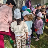 Obr: 52172.jpg