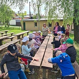 Obr: 52173.jpg