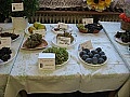 Obr: 17560.jpg