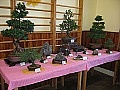 Obr: 17562.jpg