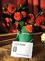 Obr: 18147.jpg