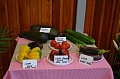 Obr: 27760.jpg