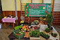 Obr: 27761.jpg