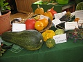 Obr: 34700.jpg