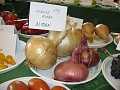 Obr: 34703.jpg