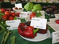 Obr: 34704.jpg