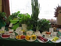 Obr: 34908.jpg