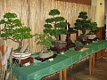 Obr: 34910.jpg