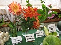 Obr: 34914.jpg