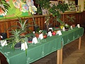 Obr: 34916.jpg