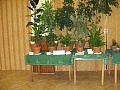 Obr: 36315.jpg