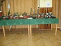 Obr: 36316.jpg