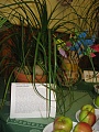 Obr: 36320.jpg