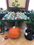 Obr: 42953.jpg