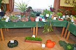Obr: 43043.jpg