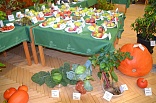 Obr: 43044.jpg