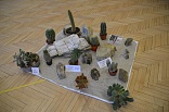 Obr: 43046.jpg