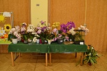 Obr: 45540.jpg