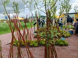 Obr: 48557.jpg