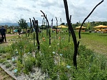 Obr: 48560.jpg