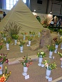 Obr: 503.jpg
