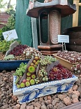 Obr: 52128.jpg