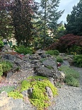 Obr: 52133.jpg