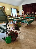 Obr: 53195.jpg