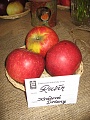 Obr: 702.jpg