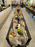 Obr: 53702.jpg