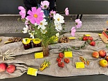 Obr: 53703.jpg