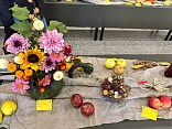 Obr: 53704.jpg