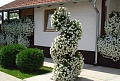 Obr: 13490.jpg