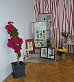 Obr: 19040.jpg
