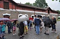 Obr: 20794.jpg