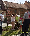 Obr: 25223.jpg