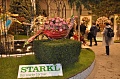 Obr: 27331.jpg