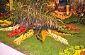 Obr: 27332.jpg