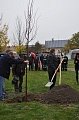Obr: 28303.jpg