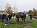 Obr: 28304.jpg
