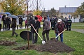 Obr: 28305.jpg