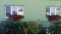 Obr: 29076.jpg