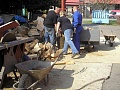 Obr: 5389.jpg