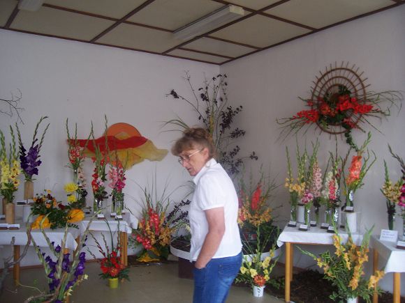 Obr: 2455.jpg