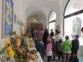Obr: 8138.jpg