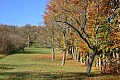 obr