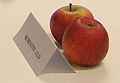 obr